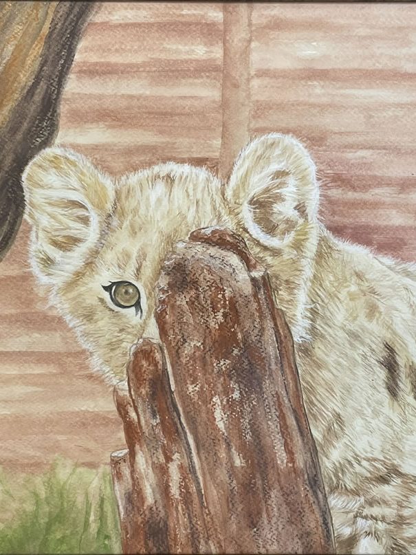 Bashful Lioness Cub